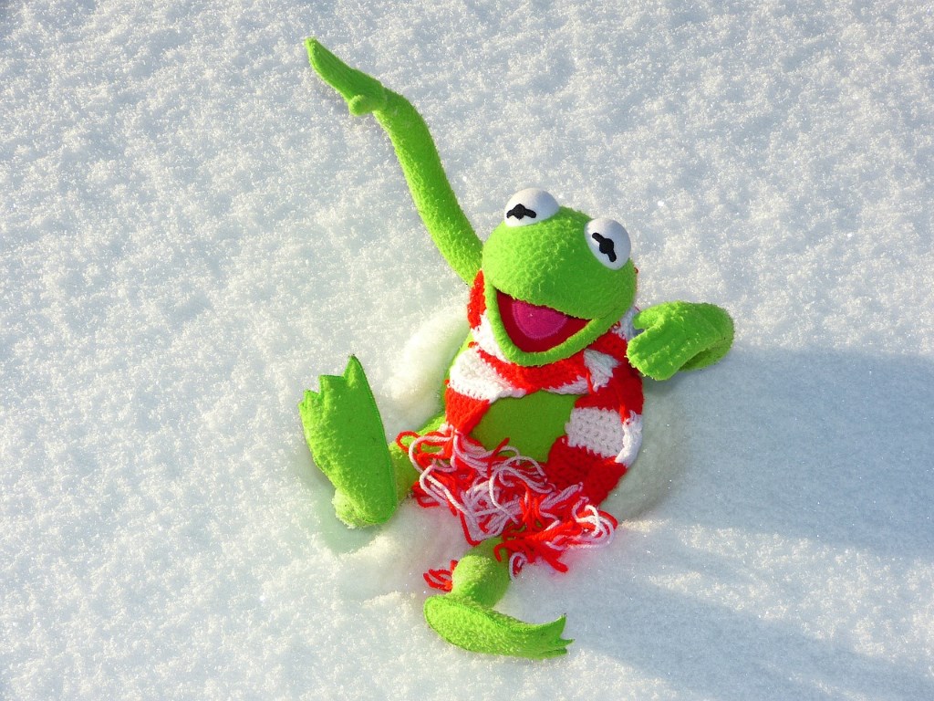 Kermit in Snow